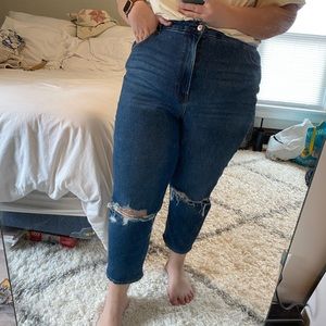 AE Curvy Mom Jean